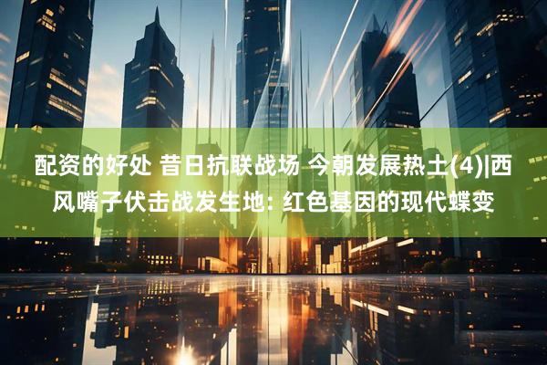 配资的好处 昔日抗联战场 今朝发展热土(4)|西风嘴子伏击战发生地: 红色基因的现代蝶变